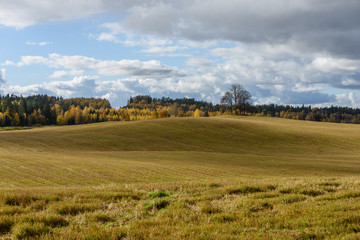 Fototapeta na wymiar countryside fields in autumn with lonely trees