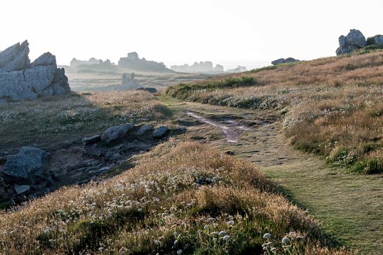 lande de l'&icirc;le d'ouessant dans le finist&egrave;re