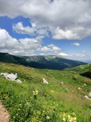 Fototapeta na wymiar Mountains