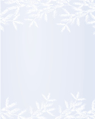 winter background with snowy christmas branch background