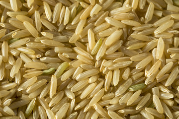 Dry Organic Wild Long Brown Rice