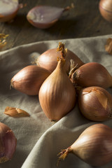 Raw Organic Shallot Onions