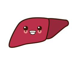 liver human organ cute kawaii cartoon vector illustration