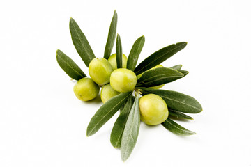 Fresh olive  on the white background