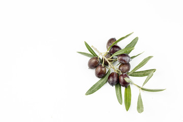 Fresh olive  on the white background