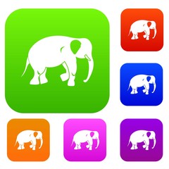 Elephant set color collection