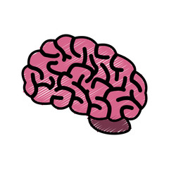 Human brain symbol icon vector illustration graphic design