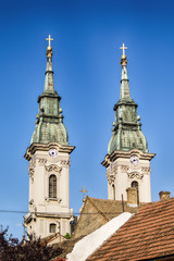 Fototapeta na wymiar Temple of Assumption of the Holy Virgin in Pancevo