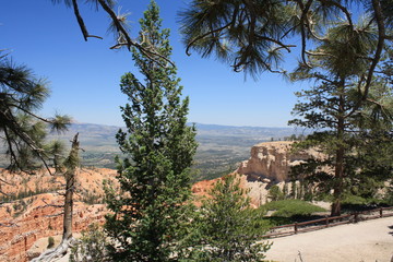 Obraz premium Bryce Canyon
