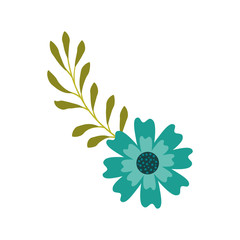 aster flower branch leaves natural petal decoration