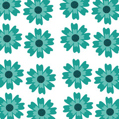 aster flower natural petal decoration image pattern