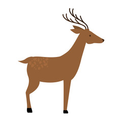 wild deer isolated icon