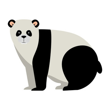 wild bear panda icon