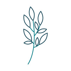 branch plant with leaves natural foliage garden