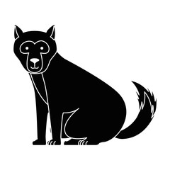 wild bear kodiak icon