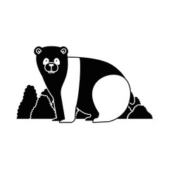 wild bear panda with bush