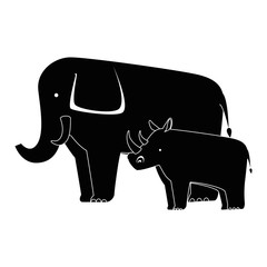 wild elephant and rhino
