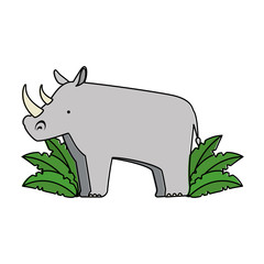 wild rhinoceros with bush jungle