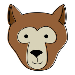 wild bear kodiak head