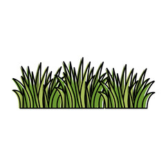 grass field isolated icon