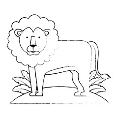 wild lion with bush jungle