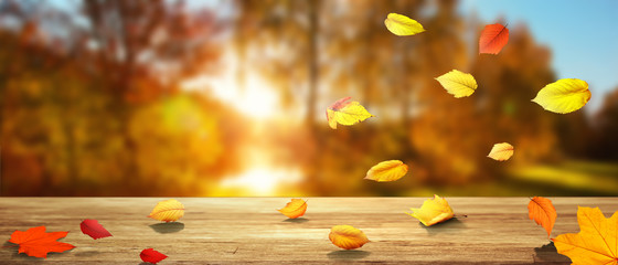 Naklejka na ściany i meble Goldener Herbst auf weissem Hintergrund