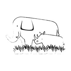 wild elephant and rhino