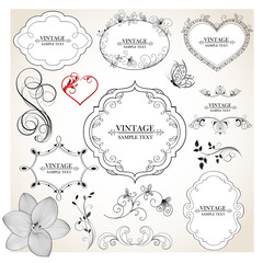 Set of hand-drawing calligraphic floral design elements. Vector illustration.