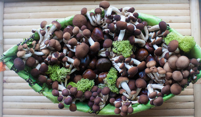 cesto funghi e castagne