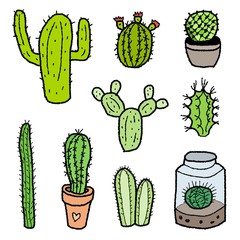 Cactus set