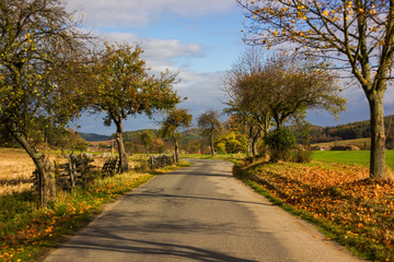 Autumn countryside road