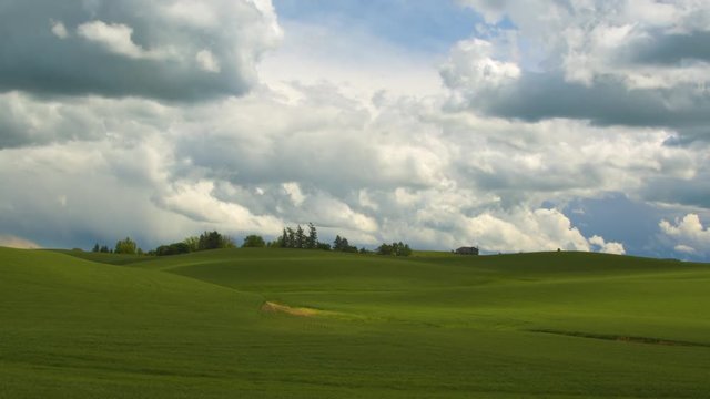 Panning shot of a field during daytime