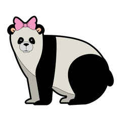 wild bear panda icon