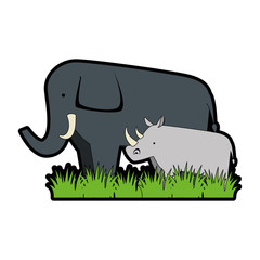 wild elephant and rhino