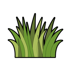 grass field isolated icon
