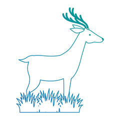 wild deer isolated icon