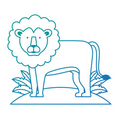 wild lion with bush jungle