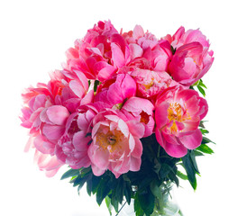 Fresh dark pink peony flowersbouquet on white background