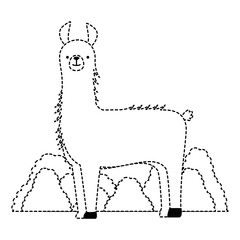 peruvian llama in jungle