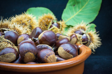 group of hedgehogs and chestnuts in a terracotta bowl