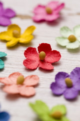 Paper Flower Background