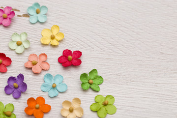 Paper Flower Background