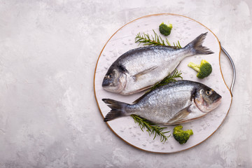 Raw sea bream fish