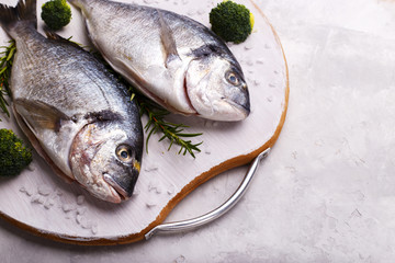 Raw sea bream fish