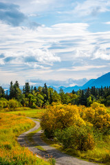 Gravel road through vibrant fall Alaskan landscape, with mountains and a cloudy sky in the background
