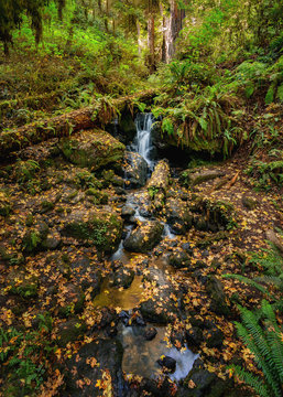 Trillium Falls, Orick, California