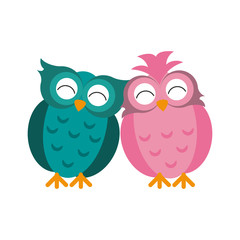 owls lovebirds romance icon image vector illustration design 