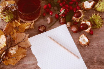 Naklejka na ściany i meble White sheet of paper,cup of tea from rose hip tea and bouquet of rose hips and chestnuts, autumn leaves on the wooden background.Seasonal, vitamin drink.Autumn background.