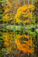 錦秋の秋山郷天池