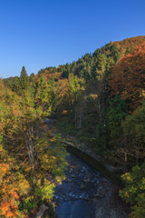 秋の見返り橋からみた佐梨川の風景